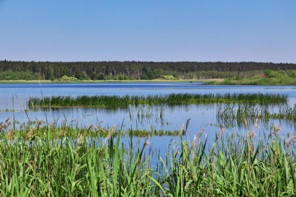 białowieski park narodowy wycieczka